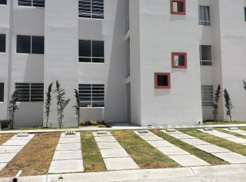 esacionamiento propio · Departamento en Renta, Planta Baja en Los Heroes de Tizayuca