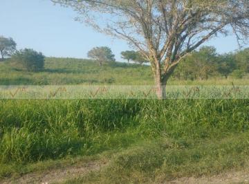 Quinta · 3000000m² · 1 Recámara · Quinta en Venta en González