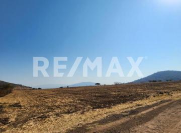 Terreno / Lote · 24743m² · Terreno en Venta - (4)