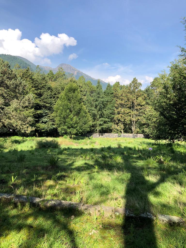 Beautiful Plot on Picacho Ajusco Highway Km 15, Titles Registered at the Public Property Registry
