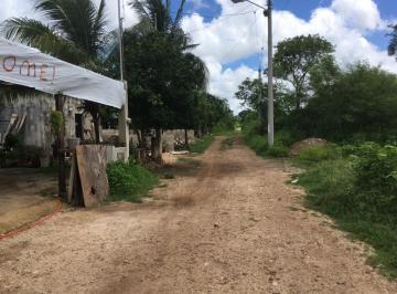 Terreno / Lote · 20350ha · Terreno de 2 Hectáreas a 5 Minutos del Periférico de Mérida en Dzununcan