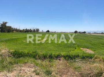 Terreno comercial · 193800m² · Se Vende Terreno de 19.3 Ha y Permiso de Riego de 10 Ha en Colonia Zaragoza - (4)