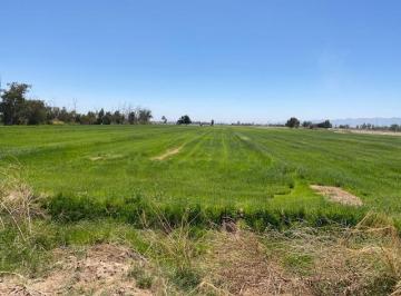 Terreno comercial · 193800m² · Se Vende Terreno de 19.3 Ha y Permiso de Riego de 10 Ha en Colonia Zaragoza - (4)