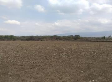 Terreno / Lote · 34000m² · Vendo Terreno Ideal Para Siembra, Invernadero, Rancho Etcétera!