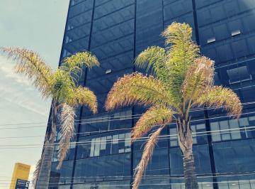 Oficina · Hermosas Oficinas Corporativas en Renta - (4)