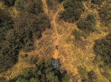 Terreno / Lote , Alvaro Obregón · Terreno en Venta en Olivar del Conde