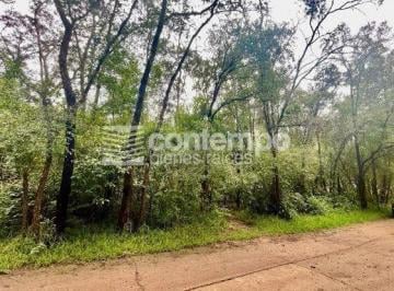 Terreno / Lote · 4000m² · Venta Terreno Jilotzingo - Estado de México