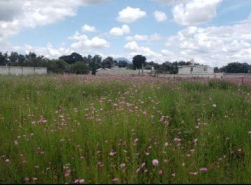 Terreno / Lote , Amozoc · Terreno en Venta, Facilidades de Pago, en Amozoc
