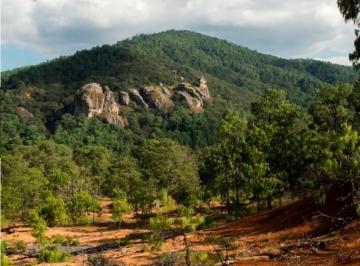 Terreno / Lote , Tapalpa · Terreno en Tapalpa. $2,300,000