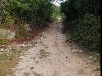 Terreno / Lote · 58000ha · 5.8 Ha en La Ruta de Los Cenotes de Cuzama