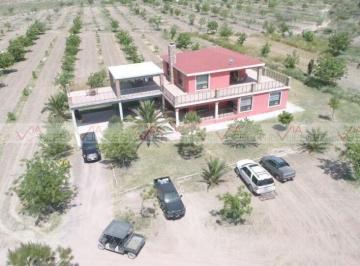 Quinta de 3 habitaciones, General Cepeda · Quinta en Venta en General Cepeda