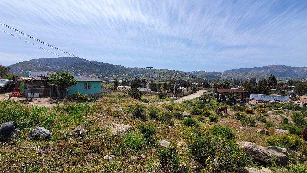 Se Renta Terreno en Col. San José, Tecate B. C.