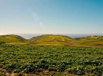 Terreno / Lote , Playas de Rosarito · Se Venden Terrenos en Hacienda Calafia, Playas de Rosarito