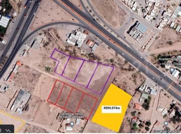 Terreno / Lote · 4994m² · Terreno en Renta en Romance, Chihuahua