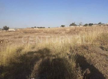 Terreno / Lote · 15750m² · Terreno en Venta en San Martin de Las Flores