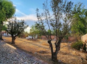 Terreno / Lote · 1180m² · Venta de Terreno en Residencial Los Olivos, Zona Norte - Pon
