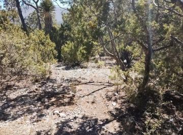 Terreno / Lote · 782m² · Terreno Campestre en Venta en San Antonio de Las Alazanas