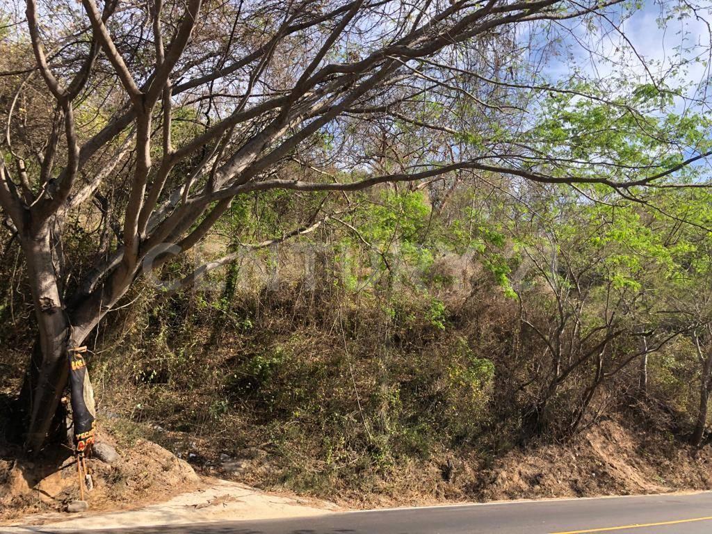 Terreno en Higuera Blanca