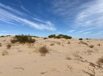 Terreno / Lote , Puerto Peñasco · Terreno en Puerto Peñasco, Sonora