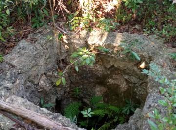 Terreno / Lote , Puerto Morelos · Remate 2 Ha con Pozo y Frutales