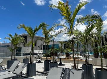 Departamento de 2 habitaciones, Alvaro Obregón · Estrena Depa en Renta en Park Pedregal con Terraza 2 Recámas y Estudio