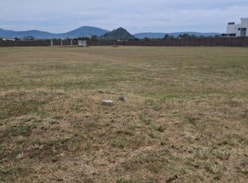 Terreno / Lote , Atlixco · Atlixco, Puebla Terreno Totalmente Bardeado