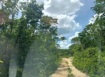Terreno / Lote · 400m² · Terreno en Venta en Tulum Quintana Roo