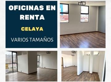 Oficina , Celaya · Renta de Oficinas - Varios Tamaños - Celaya Centro Historico