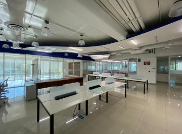 Oficina , Benito Juárez · Renta de Oficina 581 m² en Edificio Bonampak