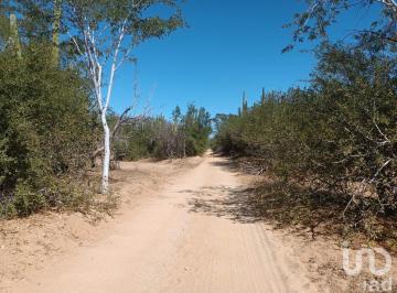 Terreno / Lote · 10000m² · Terrenos Rústicos Campestres en Venta Lotificados por Hectárea Rancho Alegre