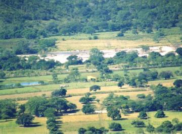 Terreno / Lote · 1310000m² · Terreno - Tonalá