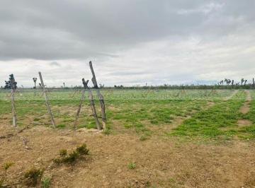 Rancho · 40m² · 1 Recámara · 1 Estacionamiento · Rancho en Venta en Ramos Arizpe