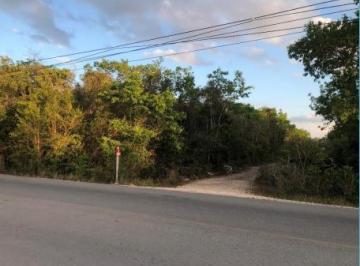 Terreno / Lote , Benito Juárez · Venta de Terreno 5,000 m² Uso Suelo Mixto Barrio Av Rogelio Castorena