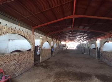 Rancho de 4 habitaciones, General Escobedo · Caballeriza en Venta, Escobedo, N. L.
