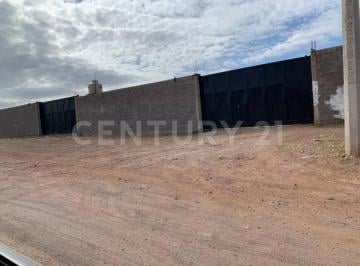 Terreno / Lote · 38m² · En Renta Terreno Para Multiples Usos.