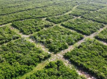 Terreno / Lote · 440m² · Venta de Terreno en Mocochá, Mérida, Yucatán