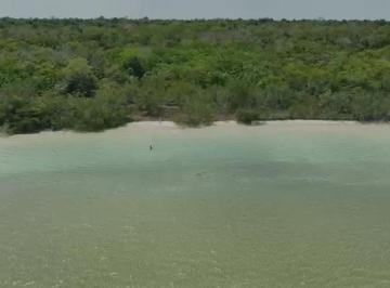 Terreno / Lote , Bacalar · Venta de Parcelas en Bacalar con 162.6 m de Frente a La Laguna