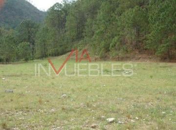Terreno / Lote · 260000m² · Terreno / Lote en Venta en La Ciénega de González