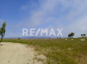 Terreno / Lote · Terrenos en Venta Ruta del Vino en Baja California - (4)