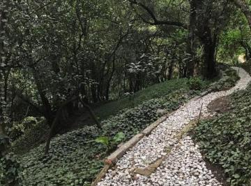 Terreno / Lote · 1997m² · Terreno en Venta en Lomas de Chapultepec 1800 Usd m² en Preciosa Cerrada Lomas Altas