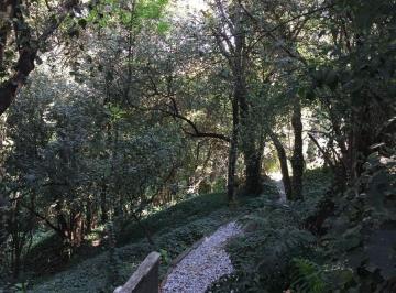 Terreno / Lote , Miguel Hidalgo · Terreno en Venta en Lomas de Chapultepec en Cerrada Terreno Aaa