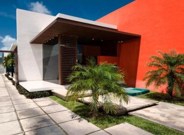 Oficina de 5 habitaciones, Mérida · Edificio Para Oficinas, 1 Planta, 5 Módulos, en Av Principal Al Norte Mérida.
