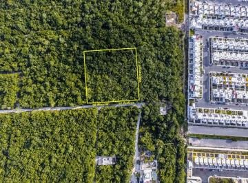 Terreno / Lote · 5000m² · Terreno Alamos II