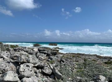 Terreno / Lote · 85000m² · Terrenos Frente Al Mar en Playa Cozumel.