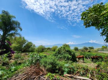 Terreno / Lote de 6 habitaciones, Chapala · Terreno en Venta con Casa en Ajijic Frente Al Lago de Chapala