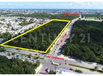 Terreno / Lote · 38451m² · Terreno Comercial en Venta en Playa del Carmen, Solidaridad, Quintana Roo