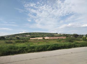 Terreno comercial , Irapuato · Vendo Terreno Para Bodega, Casa o Jardín de Fiestas