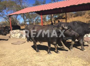 Rancho · 10000000m² · 1 Recámara · Rancho en Chiautla de Tapia, Puebla en Venta (A $3 X M²) - (4)