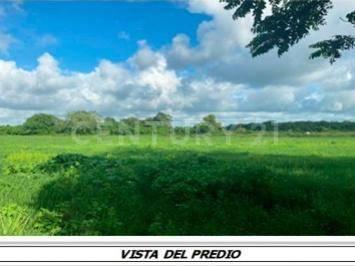 Terreno / Lote · 1168000m² · Terreno en Venta, Rancho de 116.8 Ha en Zona Manlio Fabio Altamirano, Veracruz