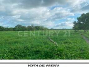 Terreno / Lote · 1168000m² · Terreno en Venta, Rancho de 116.8 Ha en Zona Manlio Fabio Altamirano, Veracruz